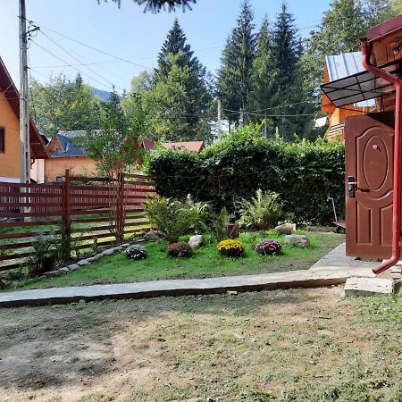 Casuta Paterau Cheia, Prahova Villa Cheia  Eksteriør bilde