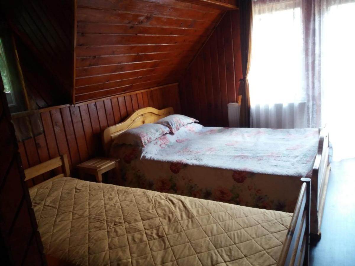 Casuta Paterau Cheia, Prahova Villa Cheia  Eksteriør bilde